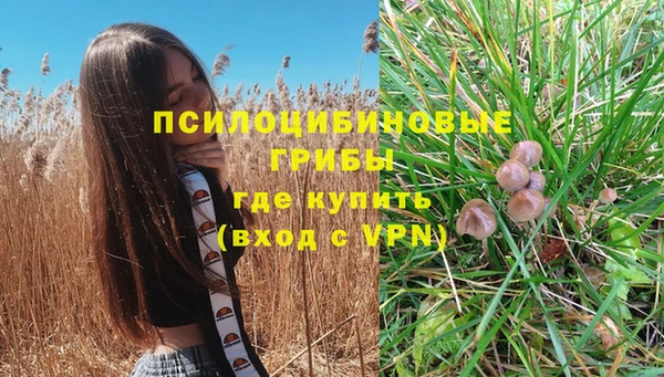 стафф Белоозёрский