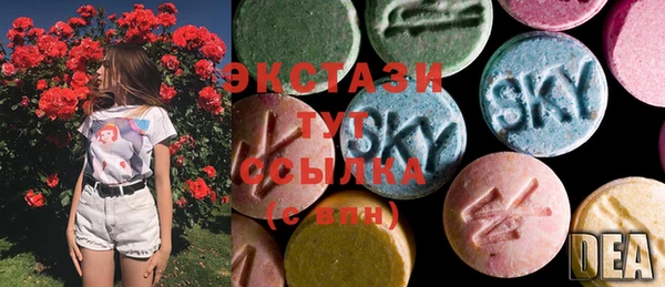 дмт Богородицк