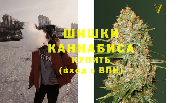 гидропоника Бородино