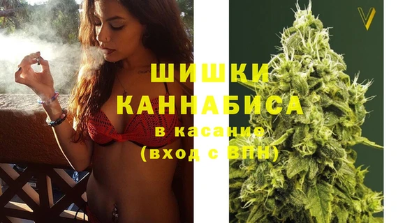 дмт Богородицк