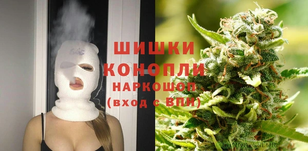 spice Богородск